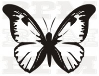 /album/fotogaleria-hmyz/hmyz-6-jpg/